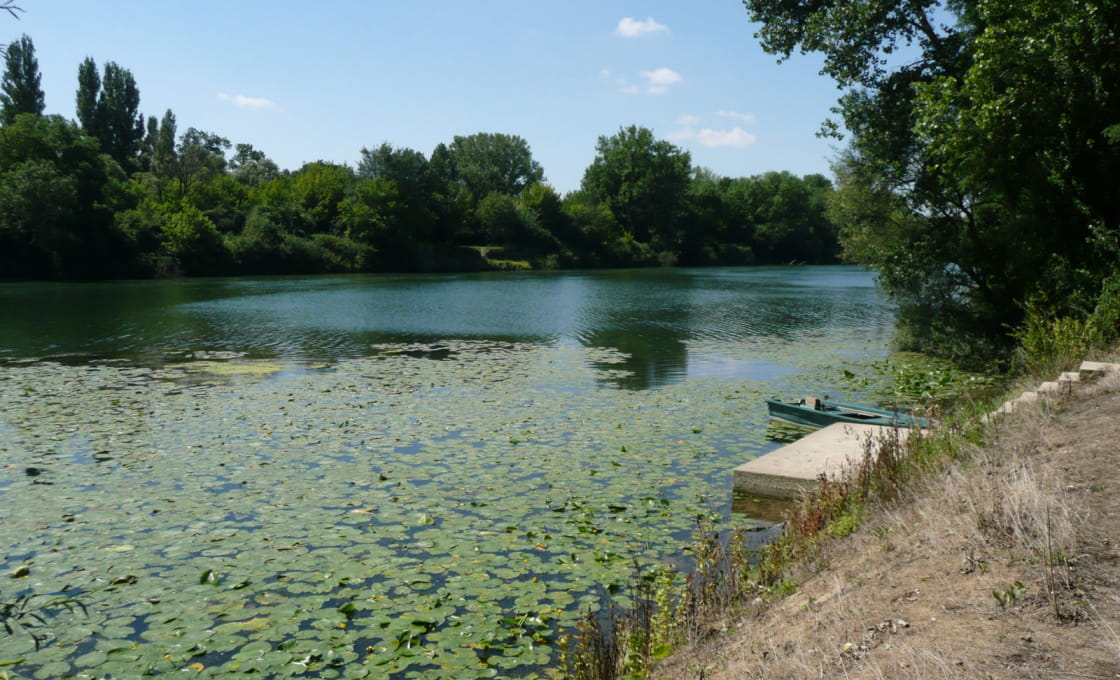 Catfish fishing in the river Saône